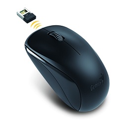 Genius NX-7000 31030109100 černá bezdrátová myš