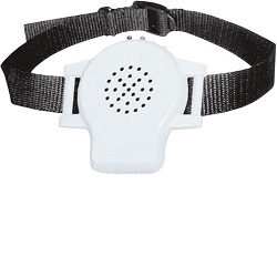 PetTrainer DOG-B02 elektronický výcvikový obojek